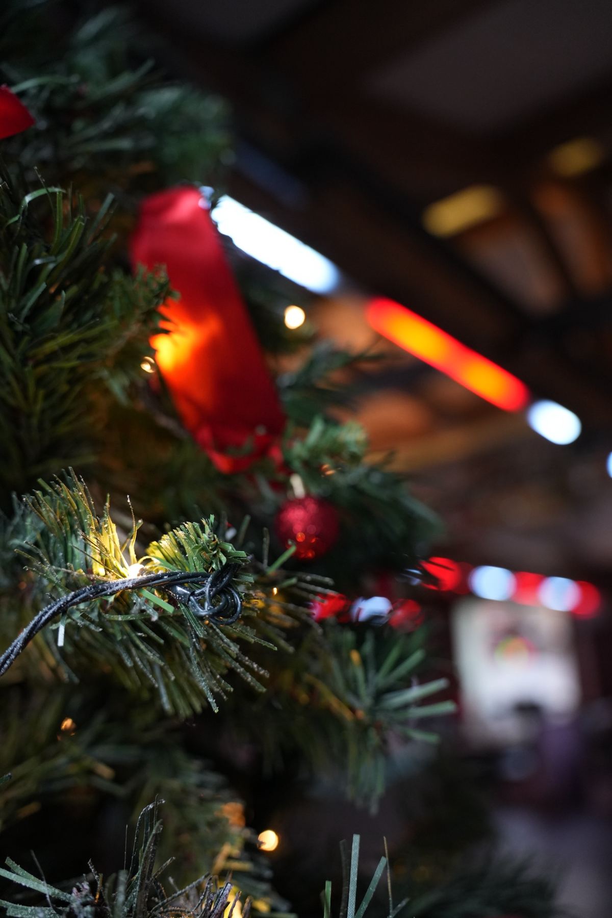 christmas lights in the bar