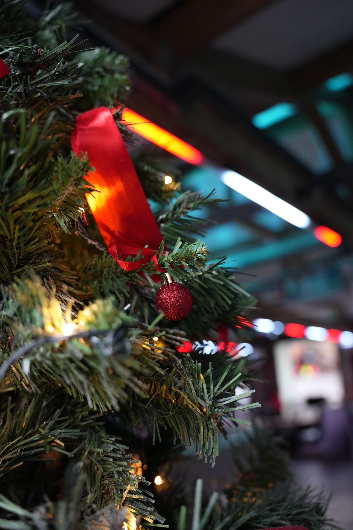 christmas tree in the bar at joshua brooks